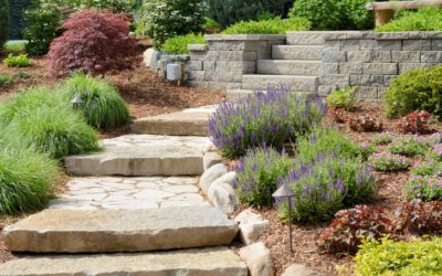 What Is Hardscaping?