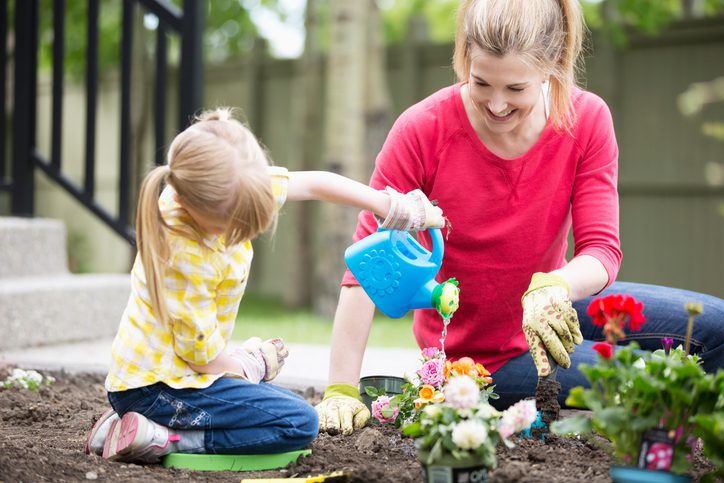 What Flowers Should You Plant For The Summer?