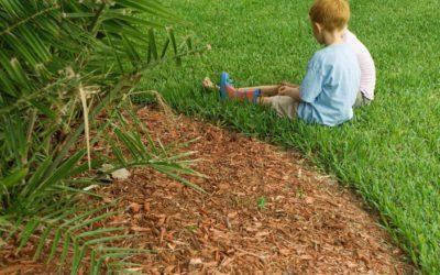 5 Reasons to Add Mulch to Your Landscaping