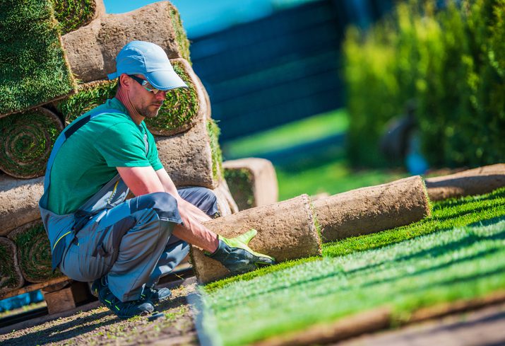 3 Services a Landscaper Provides